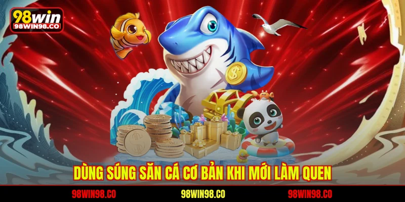 Dùng súng săn cá cơ bản khi mới làm quen