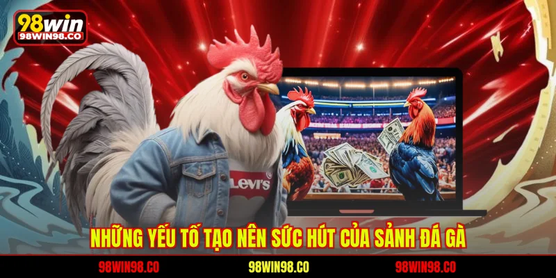 Những yếu tố tạo nên sức hút của sảnh đá gà 