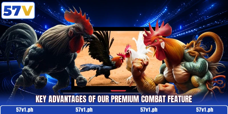 Key advantages of our premium combat feature Key advantages of our premium combat feature
