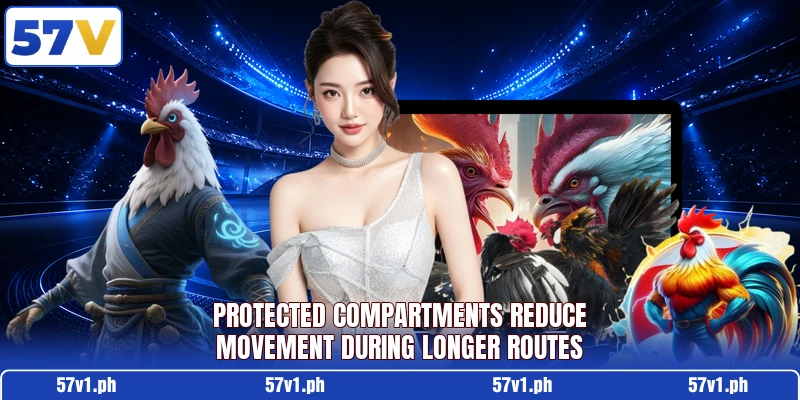 Protected compartments reduce movement during longer routes Protected compartments reduce movement during longer routes